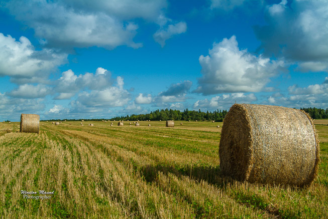 HayBales-7147